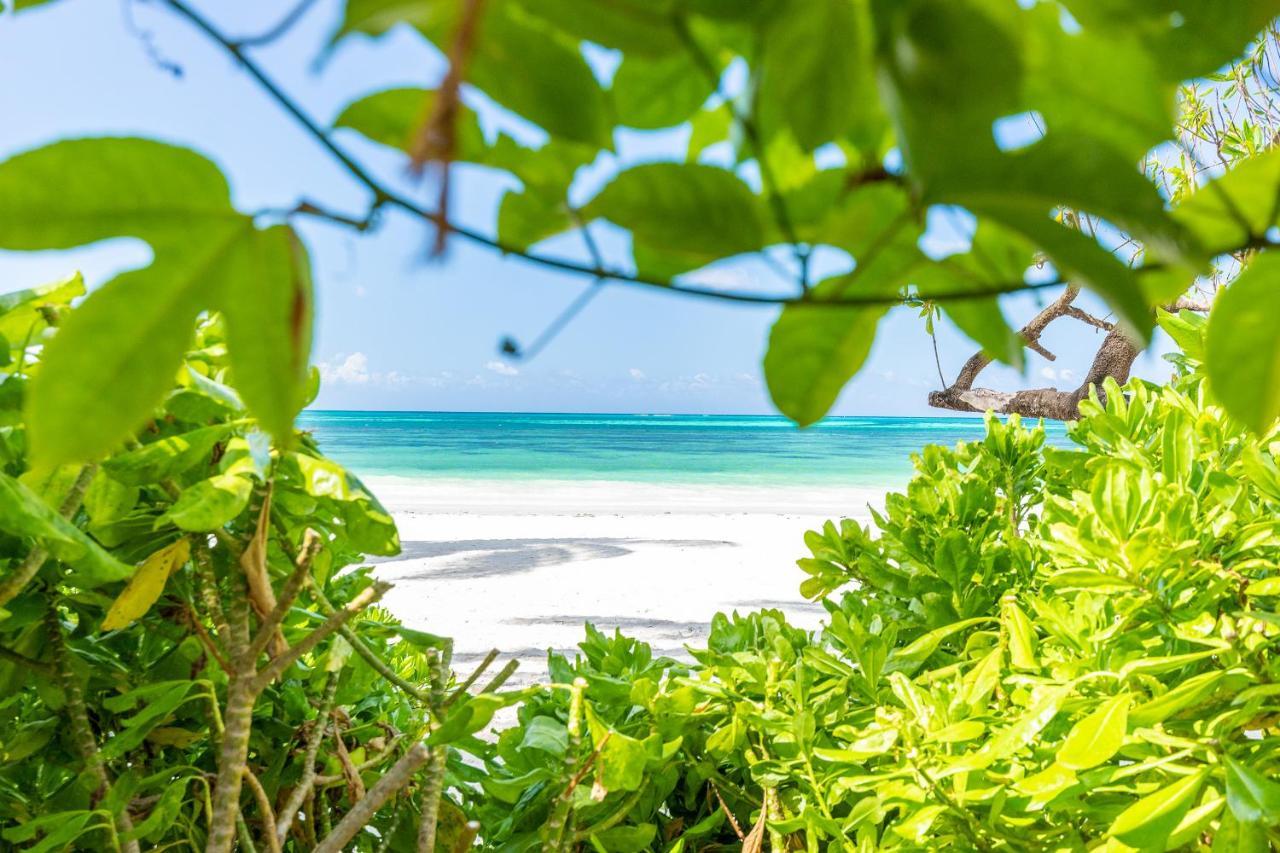 Surfescape Zanzibar Apartman Kiwengwa  Kültér fotó