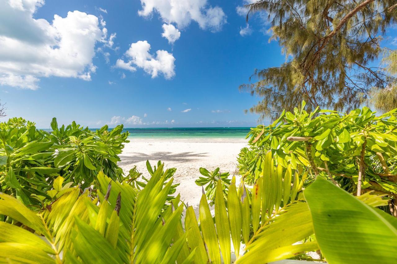 Surfescape Zanzibar Apartman Kiwengwa  Kültér fotó