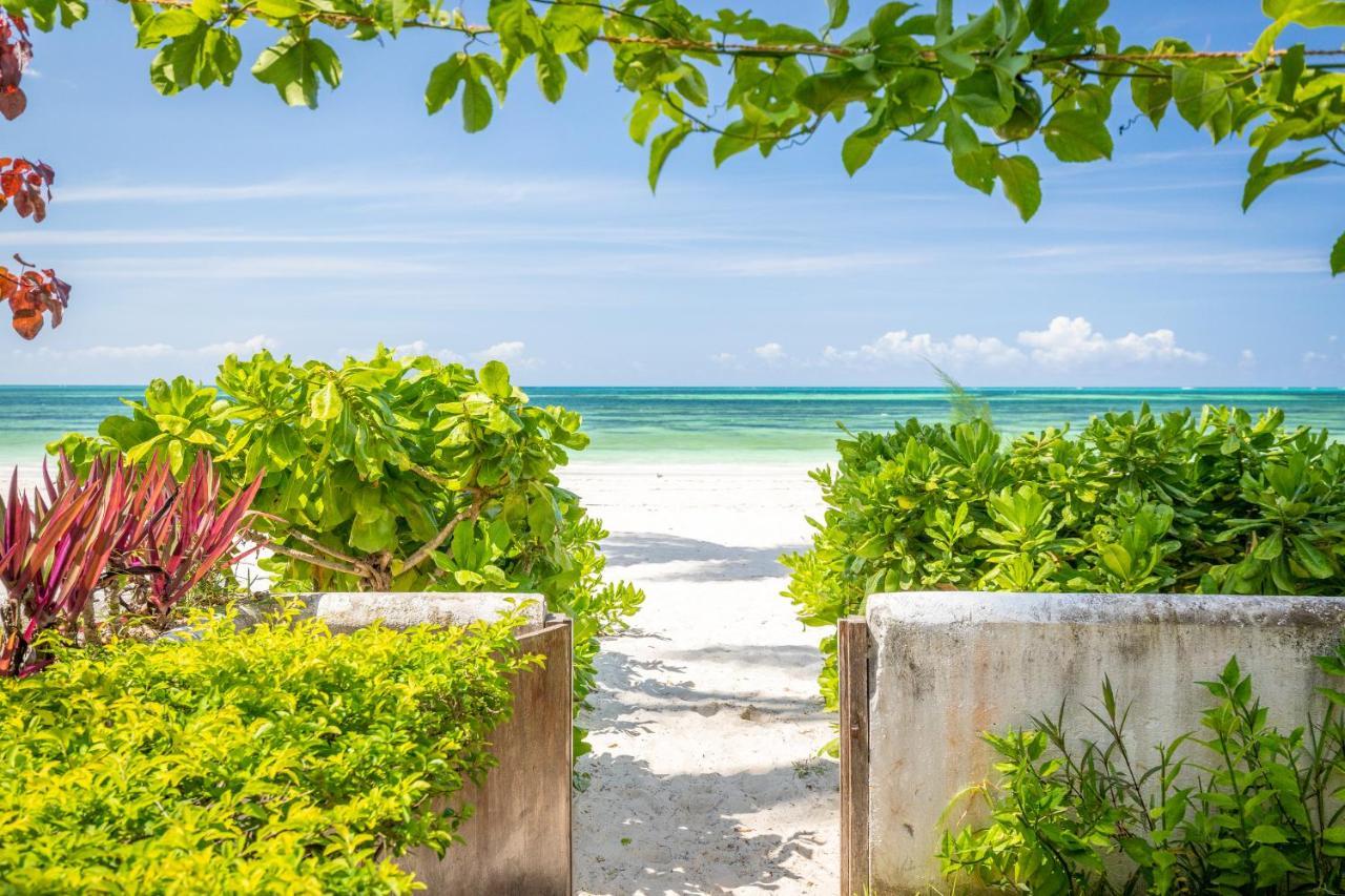 Surfescape Zanzibar Apartman Kiwengwa  Kültér fotó