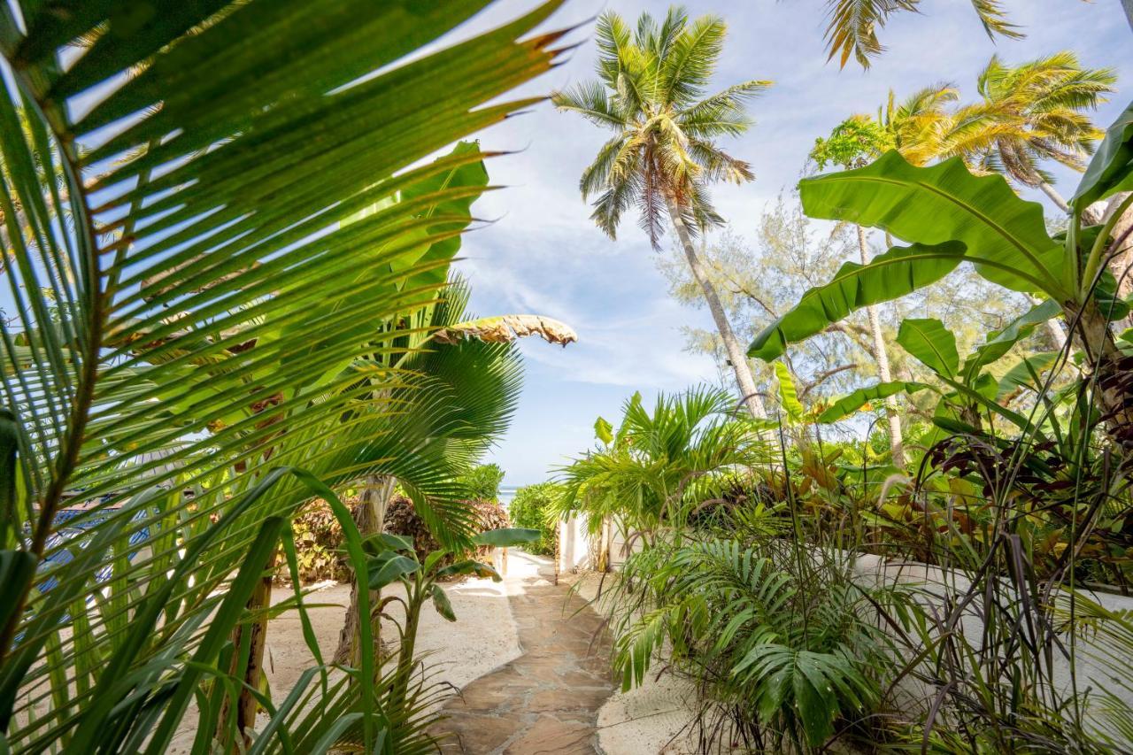 Surfescape Zanzibar Apartman Kiwengwa  Kültér fotó